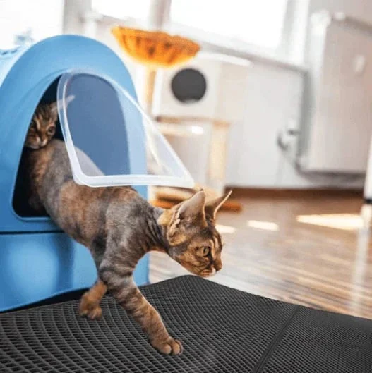 🔥Hot Sale 49% OFF🔥Non-Slip Cat Litter Mat - Image 10