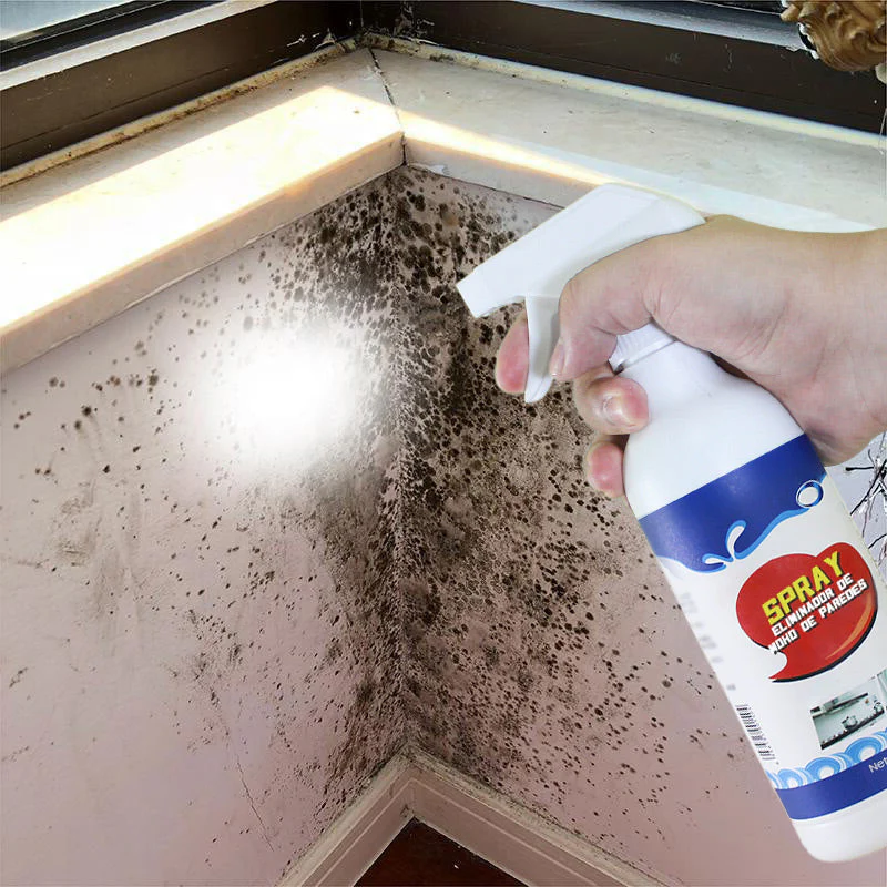🔥Hot Sale - 49% OFF🎁Highly Effective Mould Removal Spray🦠 - Image 4