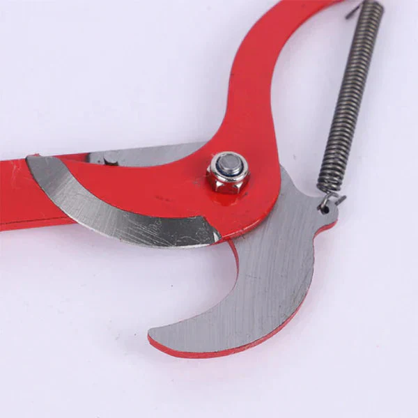 🔥2025 HOT SALE 50% OFF🔥 Japan Denosuke carbon steel labour-saving high stem shears - Image 2