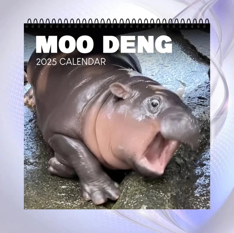 🦛Moo Deng Calendar | 2025 Calendar - Image 2