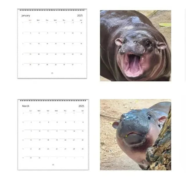 🦛Moo Deng Calendar | 2025 Calendar - Image 3