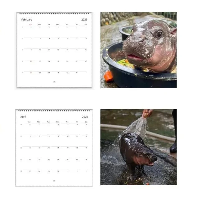 🦛Moo Deng Calendar | 2025 Calendar - Image 4