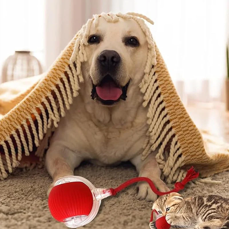 🎊Buy 2 Get 20% OFF🐱🐶Smart Automatic Rolling Pet Ball - Image 11