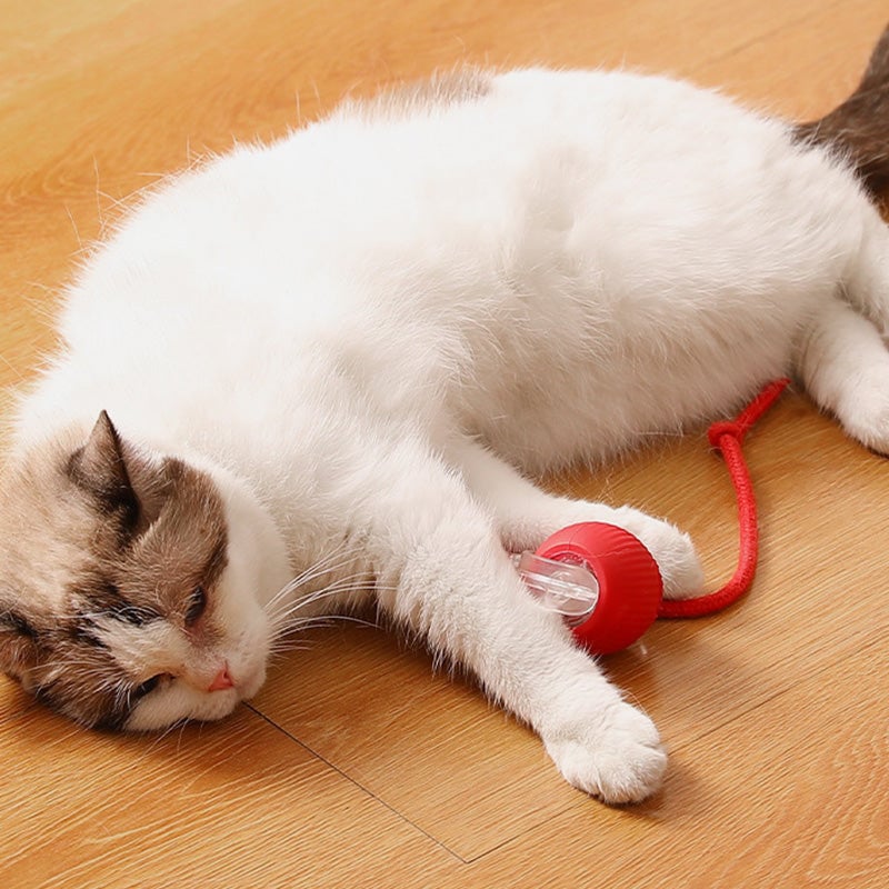 🎊Buy 2 Get 20% OFF🐱🐶Smart Automatic Rolling Pet Ball - Image 2