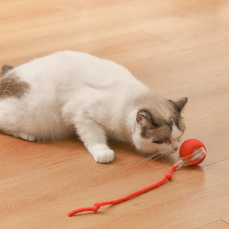 🎊Buy 2 Get 20% OFF🐱🐶Smart Automatic Rolling Pet Ball - Image 3