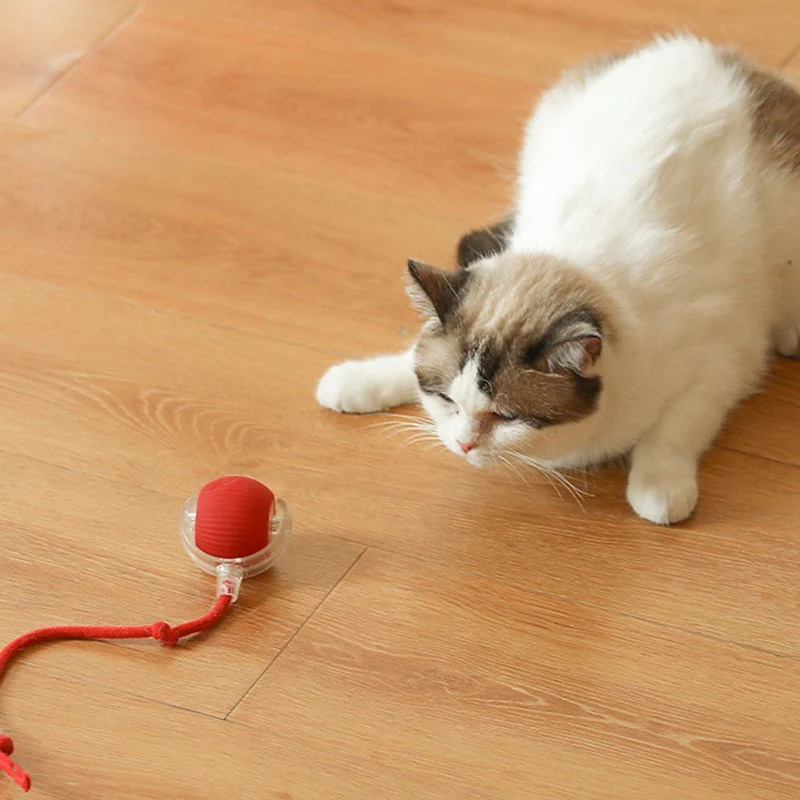 🎊Buy 2 Get 20% OFF🐱🐶Smart Automatic Rolling Pet Ball - Image 4