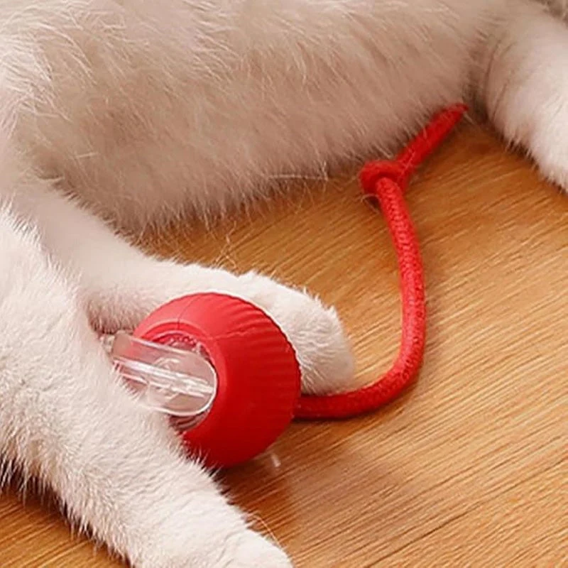🎊Buy 2 Get 20% OFF🐱🐶Smart Automatic Rolling Pet Ball - Image 9