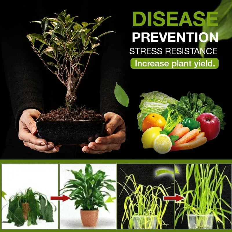 🔥Hot Selling! 49% Off🌸Soil Activated Treasure-You Will Be Amazed! - Image 6