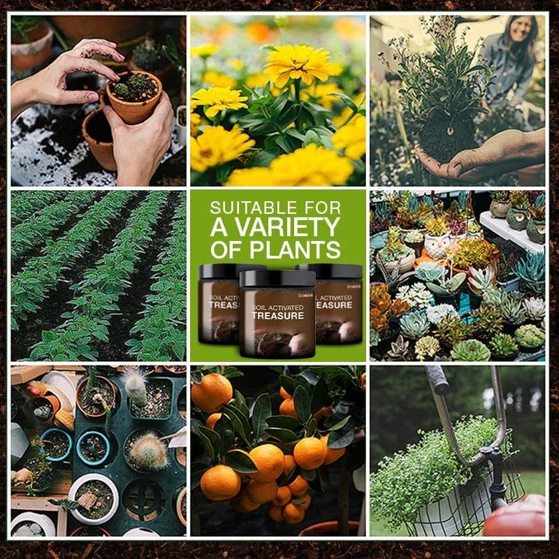 🔥Hot Selling! 49% Off🌸Soil Activated Treasure-You Will Be Amazed! - Image 8